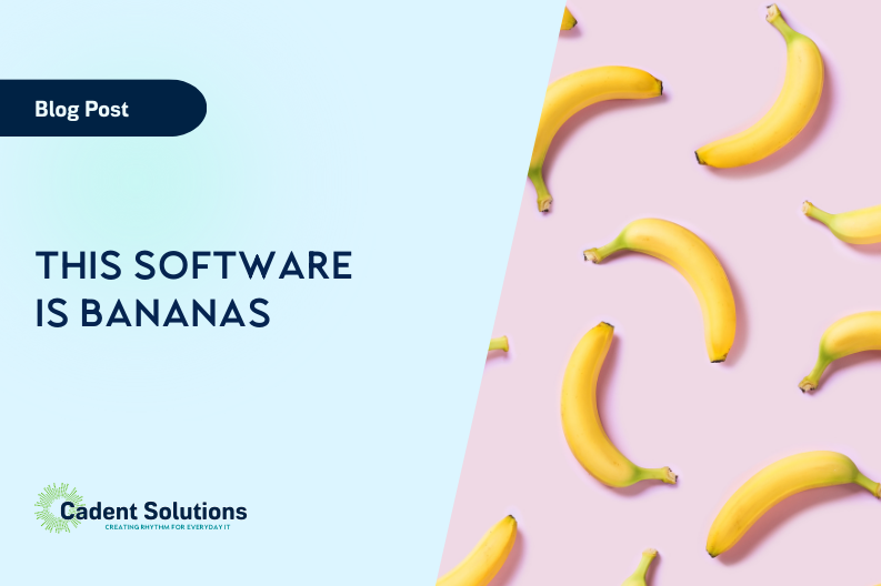 This Software Is Bananas blog title card image